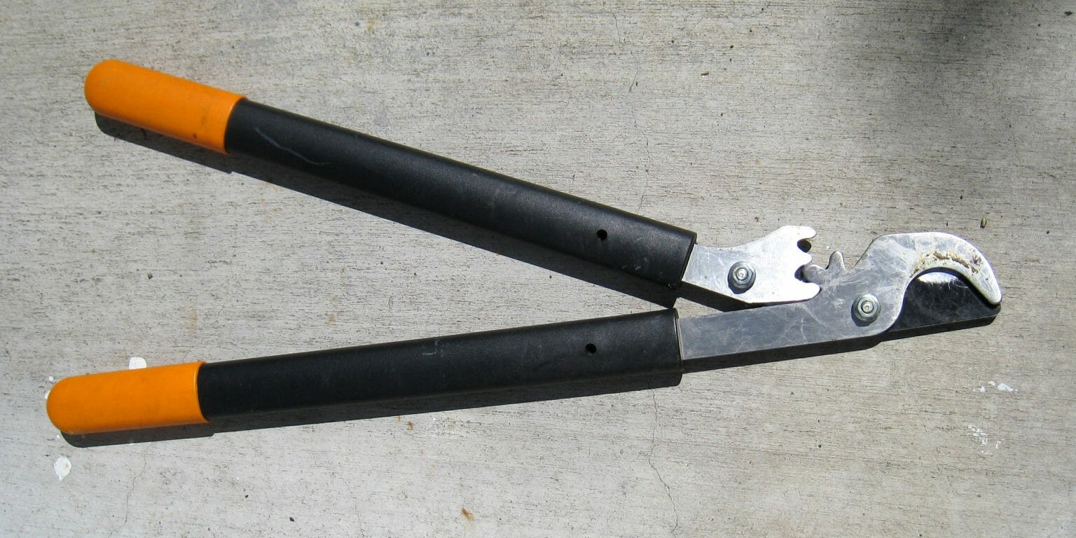 Bypass Vs Anvil Pruners And Loppers — Which Ones Where?
