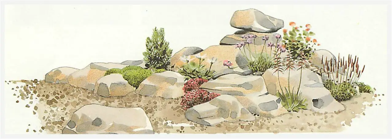 How To Make A Rock Garden DIY Rock Gardens and Ideas