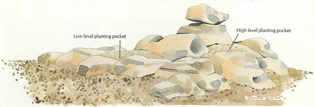 include planting pockets in the rockery