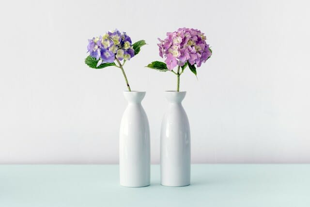 with proper cut hydrangea care your blooms will last in a vase
