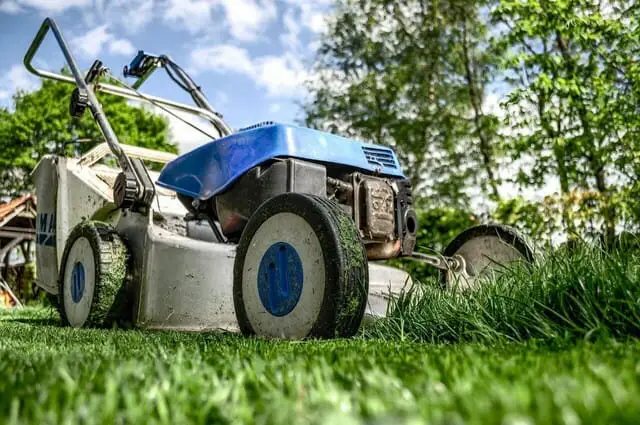 mowing dark green grass