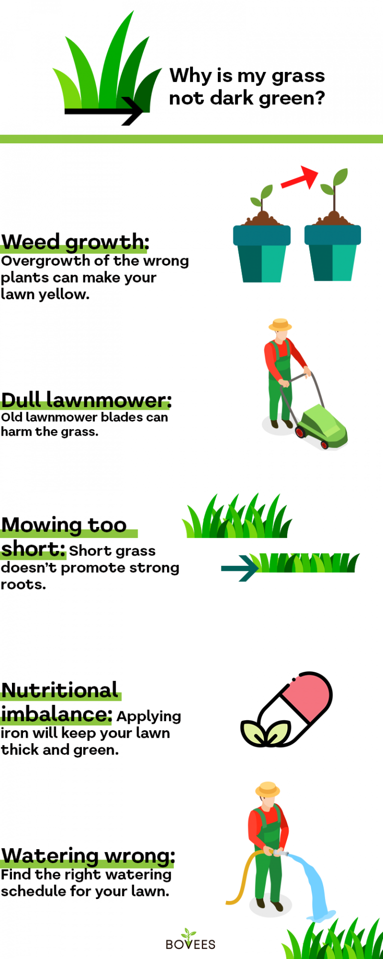 How To Make Grass Green Fast