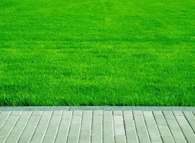 use super natural lawn fertilizer for results like this