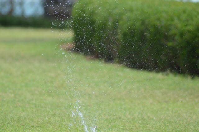 Results vary depending on the type of fertilizer used.