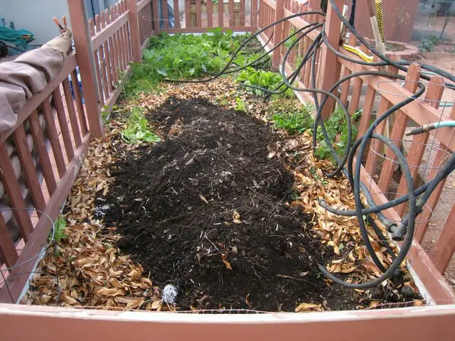 Adding kitchen scraps to your compost will help your plants to grow.