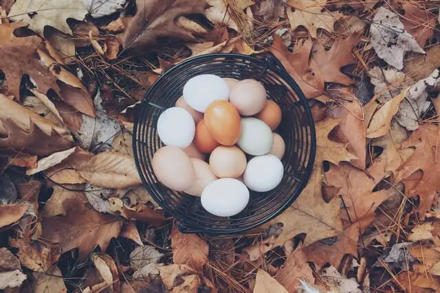 Add egg shell to your compost pile and help make your garden happy.