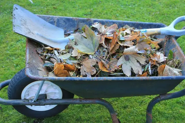 Adding crushed egg shells to your compost is great for your garden.