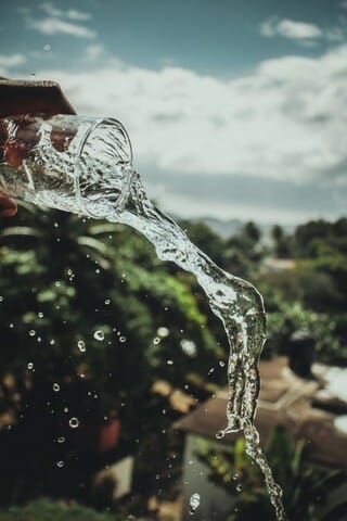 a glass of water being emptied in garden