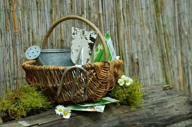 garden tools in a trug