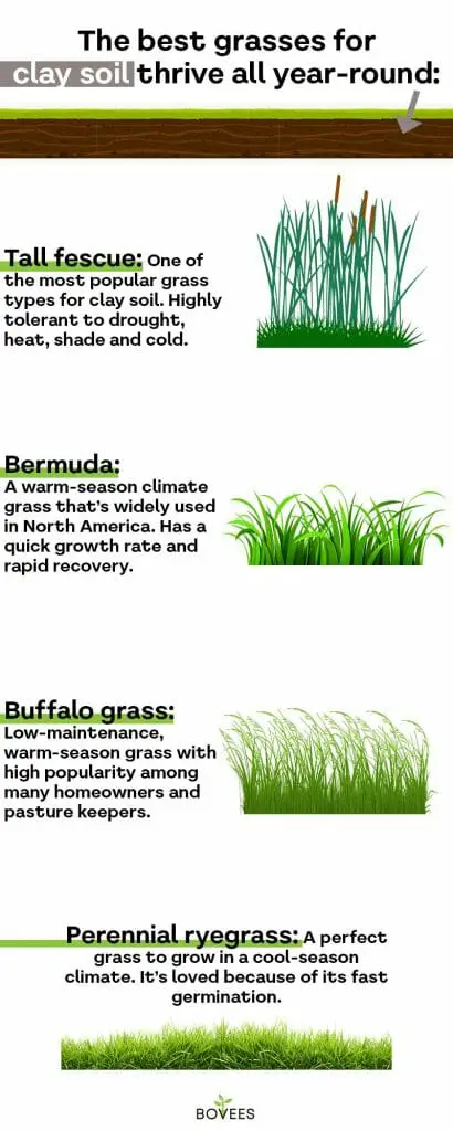 grass with a deep root system is best in clay soil