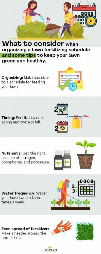 Lawn Fertilizer Schedule + Application Tips For Greener Lawn