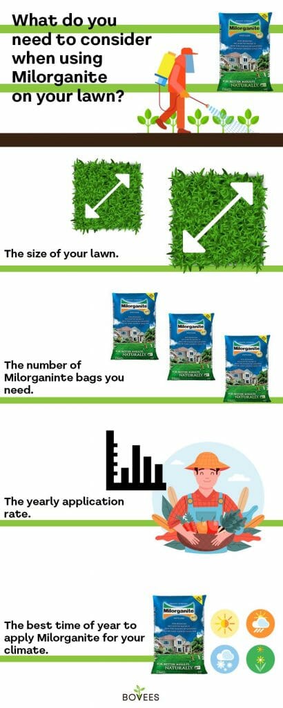 use a high nitrogen fertilizer for great results