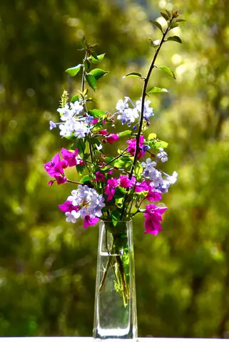 keep the vase in a cool breeze on a hot day