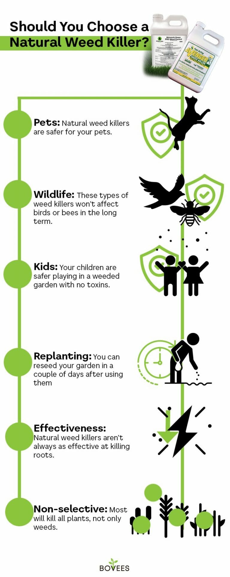 Best Pet Friendly Weed Killer Kill Weeds Keep Pets Safe