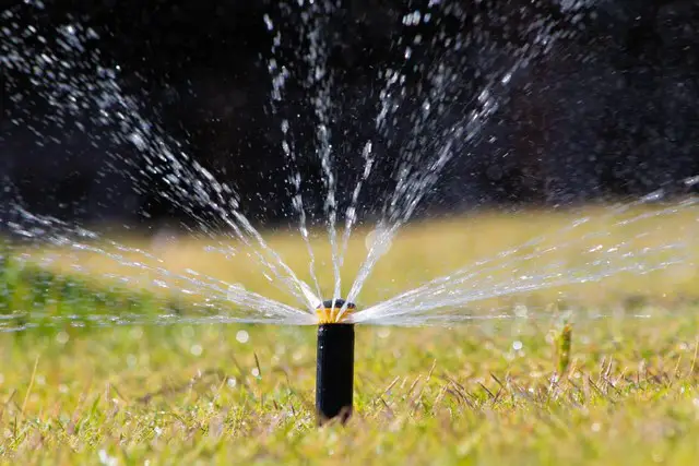 a proper watering regime will help keep grass green