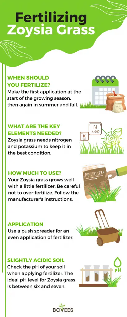 Best Fertilizer For Zoysia Grass