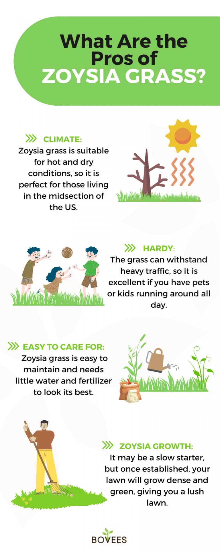 Zoysia Grass Pros And Cons