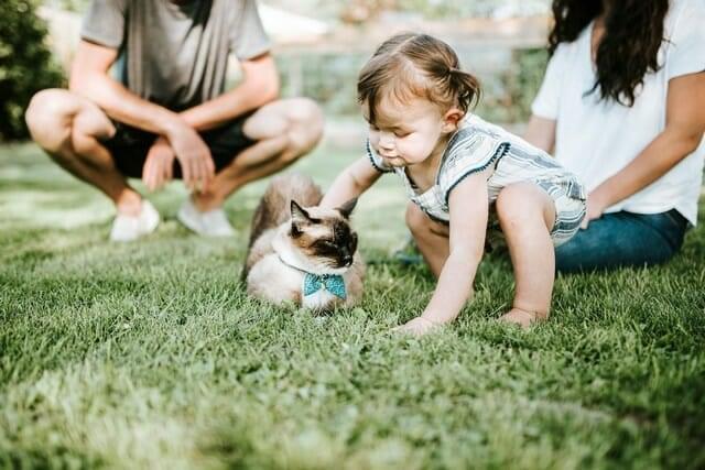 family on lawn